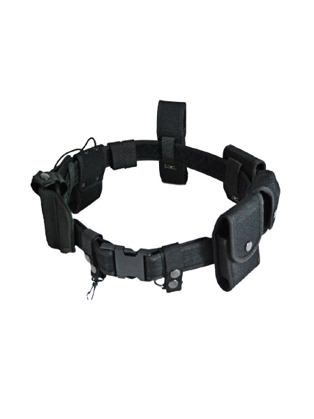 Portfolio Item 12
