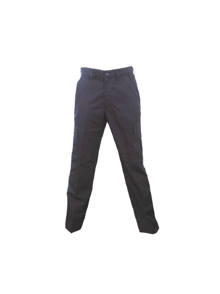 Portfolio Item 12